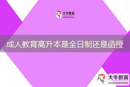 成人教育高升本是全日制还是函授