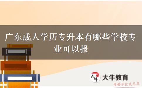 广东成人学历专升本有哪些学校专业可以报