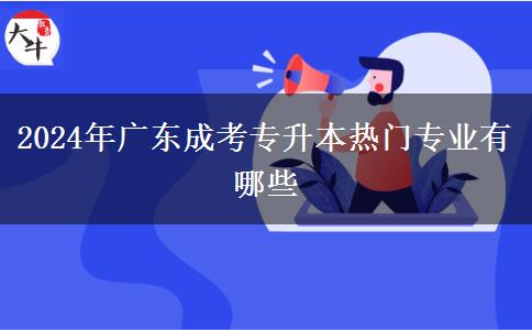 2024年广东成考专升本热门专业有哪些