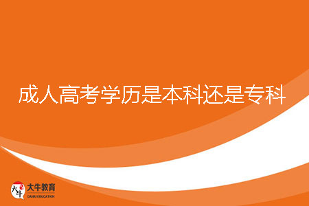 成人高考学历是本科还是专科