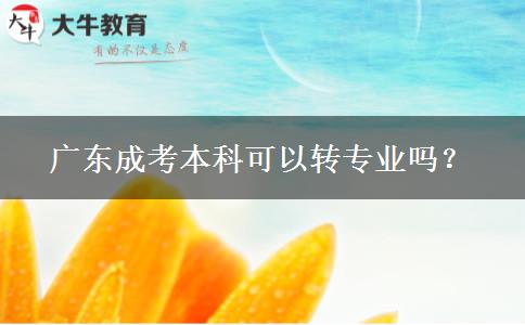 广东成考本科可以转专业吗？