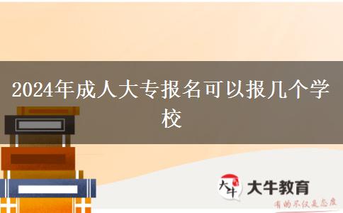 2024年成人大专报名可以报几个学校