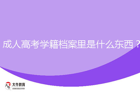 肇庆成人高考学籍档案里是什么东西？