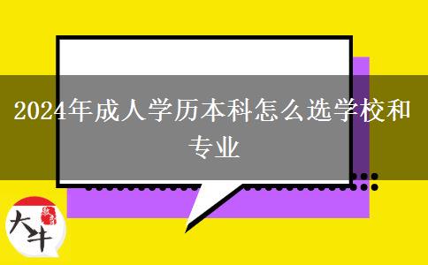 2024年成人学历本科怎么选学校和专业