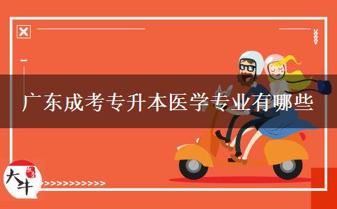 广东成考专升本医学专业有哪些