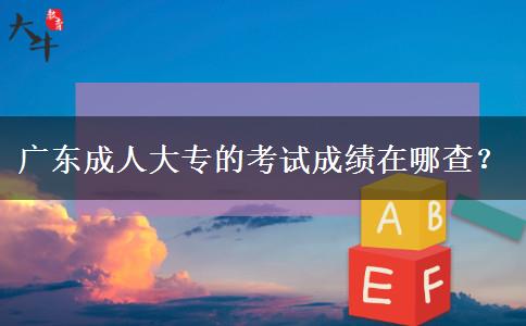 广东成人大专的考试成绩在哪查?