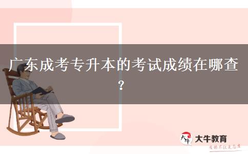 广东成考专升本的考试成绩在哪查？