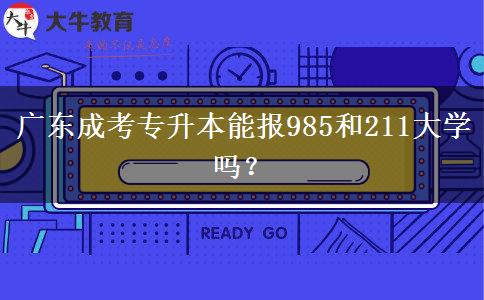 广东成考专升本能报985和211大学吗?