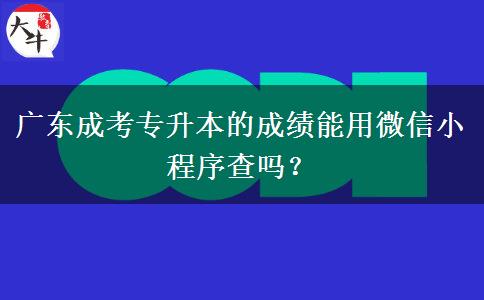 广东成考专升本的成绩能用微信小程序查吗?