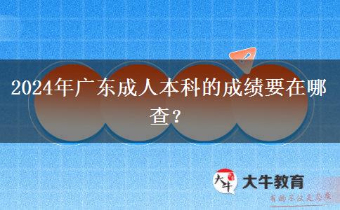2024年广东成人本科的成绩要在哪查？