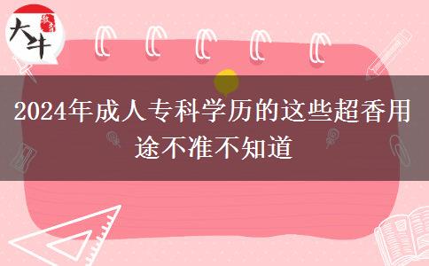 2024年成人专科学历的这些超香用途不准不知道