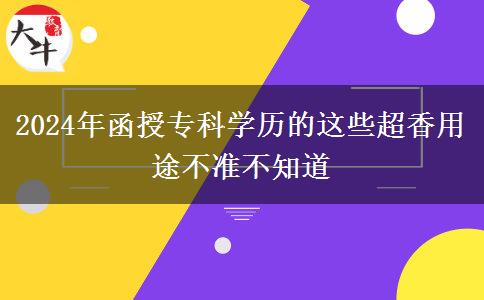 2024年函授专科学历的这些超香用途不准不知道