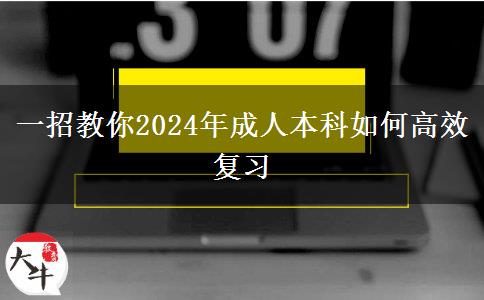 一招教你2024年成人本科如何高效复习