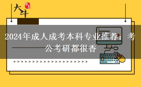 2024年成人成考本科专业推荐：考公考研都很香