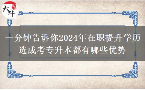 一分钟告诉你2024年在职提升学历选成考专升本都有哪些优势