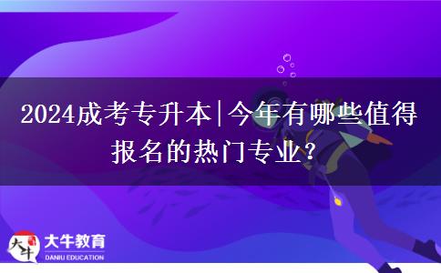 2024成考专升本|今年有哪些值得报名的热门专业?