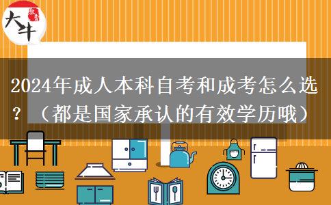 2024年自考和成人本科怎么选？（都是国家承认的有效学历哦）