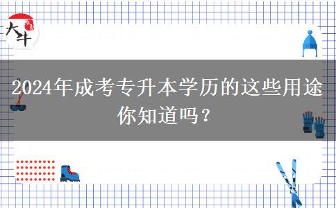 2024年还在说学历无用?成考专升本学历的这些用途你知道吗?