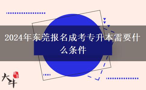 2024年东莞报名成考专升本需要什么条件