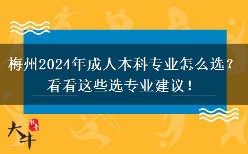 梅州2024年成人本科专业怎么选？看看这些选专业建议！