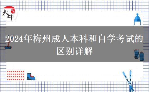 梅州2024年成人本科和自学考试都有哪些区别？