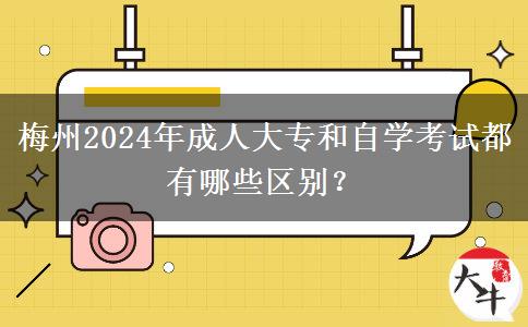 梅州2024年成人大专和自学考试都有哪些区别?