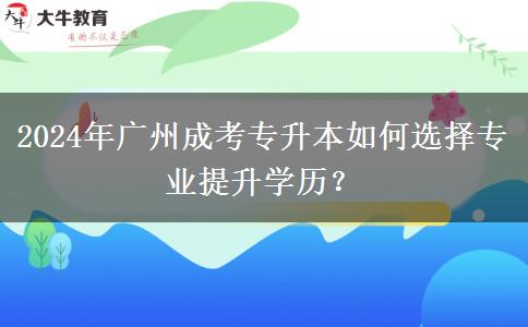 2024年广州成考专升本如何选择专业提升学历?