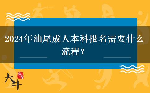 2024年汕尾成人本科报名需要什么流程？