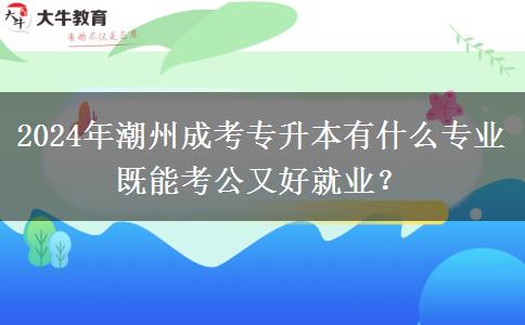 2024年潮州成考专升本有什么专业既能考公又好就业?