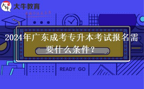 2024年广东成考专升本考试报名需要什么条件？