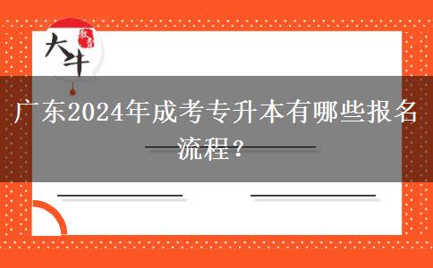 广东2024年成考专升本有哪些报名流程？