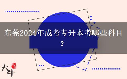 东莞2024年成考专升本考哪些科目?