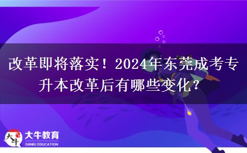 改革即将落实!2024年东莞成考专升本改革后有哪些变化?