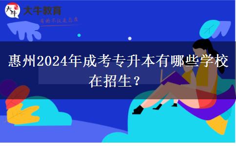 惠州2024年成考专升本有哪些学校在招生?