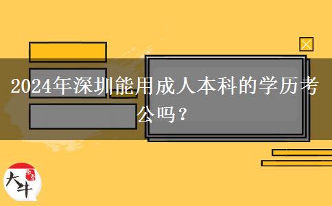 2024年深圳能用成人本科的学历考公吗？
