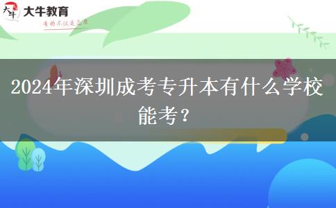 2024年深圳成考专升本有什么学校能考?