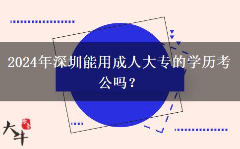 2024年深圳能用成人大专的学历考公吗？