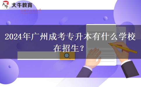 2024年广州成考专升本有什么学校在招生?
