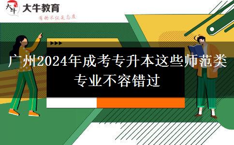 广州2024年成考专升本这些师范类专业不容错过