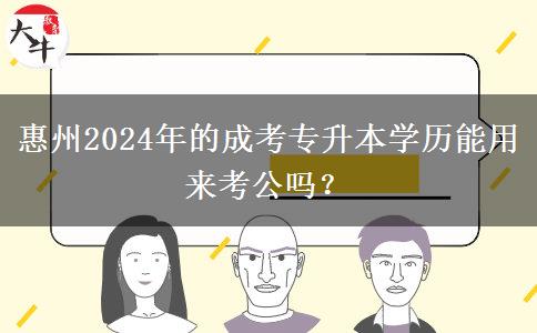 惠州2024年的成考专升本学历能用来考公吗?