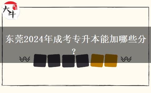 东莞2024年成考专升本能加哪些分?