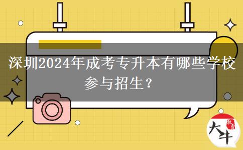 深圳2024年成考专升本有哪些学校参与招生?