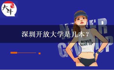 深圳开放大学是几本？