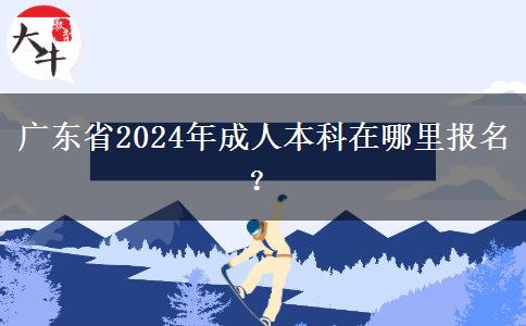 广东省2024年成人本科在哪里报名？