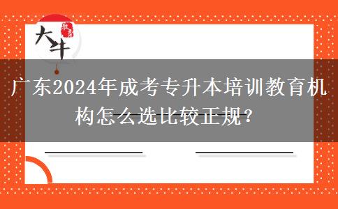 广东2024年成考专升本培训教育机构怎么选比较正规？
