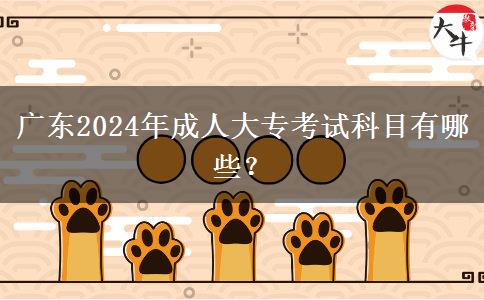 广东2024年成人大专考试科目有哪些？