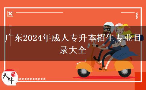 广东2024年成人专升本招生专业目录大全