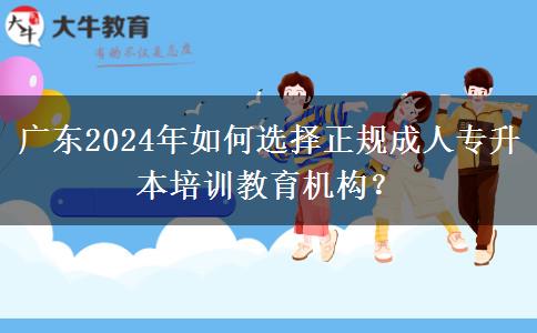 广东2024年如何选择正规成人专升本培训教育机构