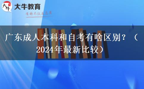 广东成人本科和自考有啥区别？（2024年最新比较）