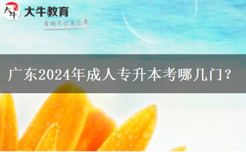 广东2024年成人专升本考哪几门？